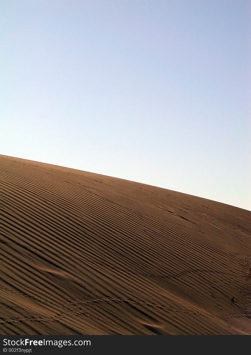 Animal footstep on a dune