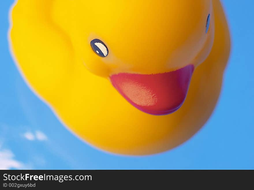 Close-up of toy duck