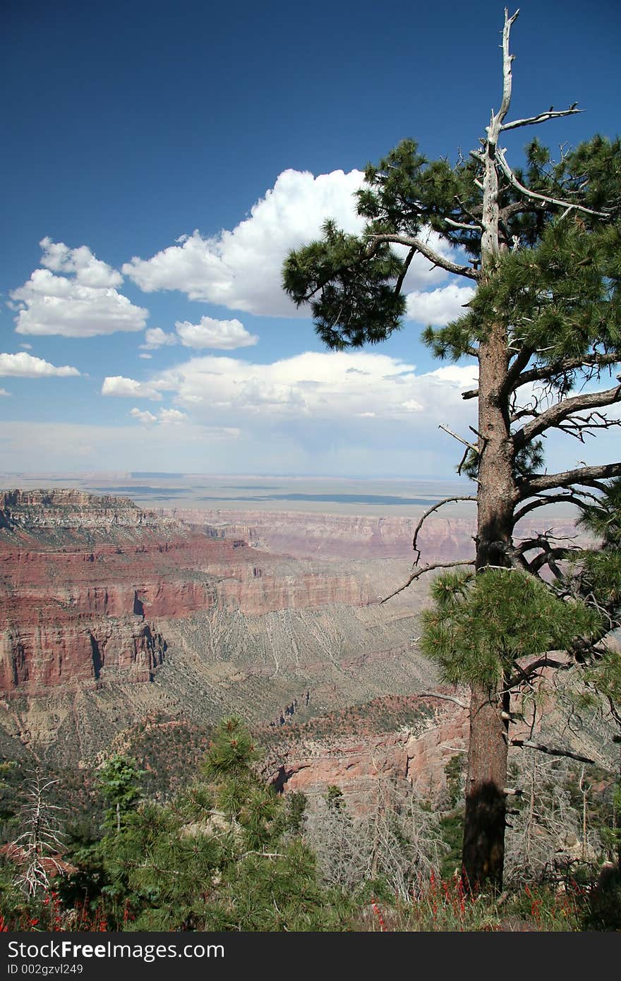 Grand Canyon Overlook