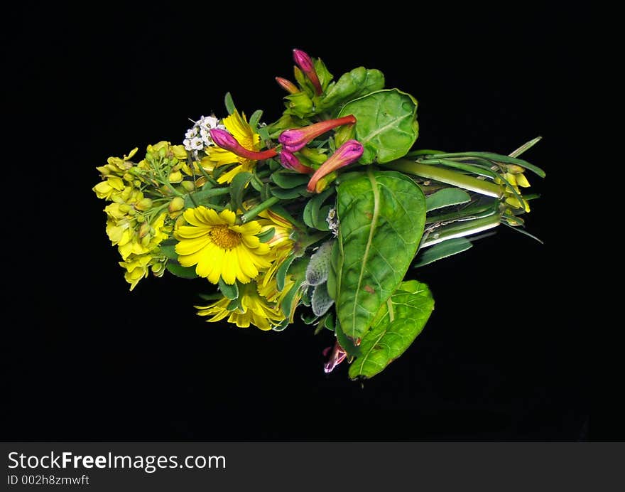 Bunch of forest flower isolated. With its reflexion on a mirror