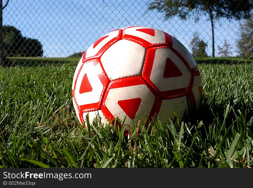 Soccer ball on grass next to fence. Soccer ball on grass next to fence