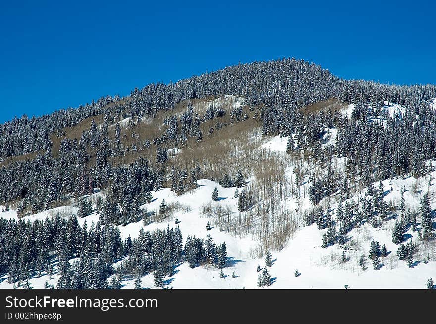 Rocky mountain winter in colorado. Rocky mountain winter in colorado