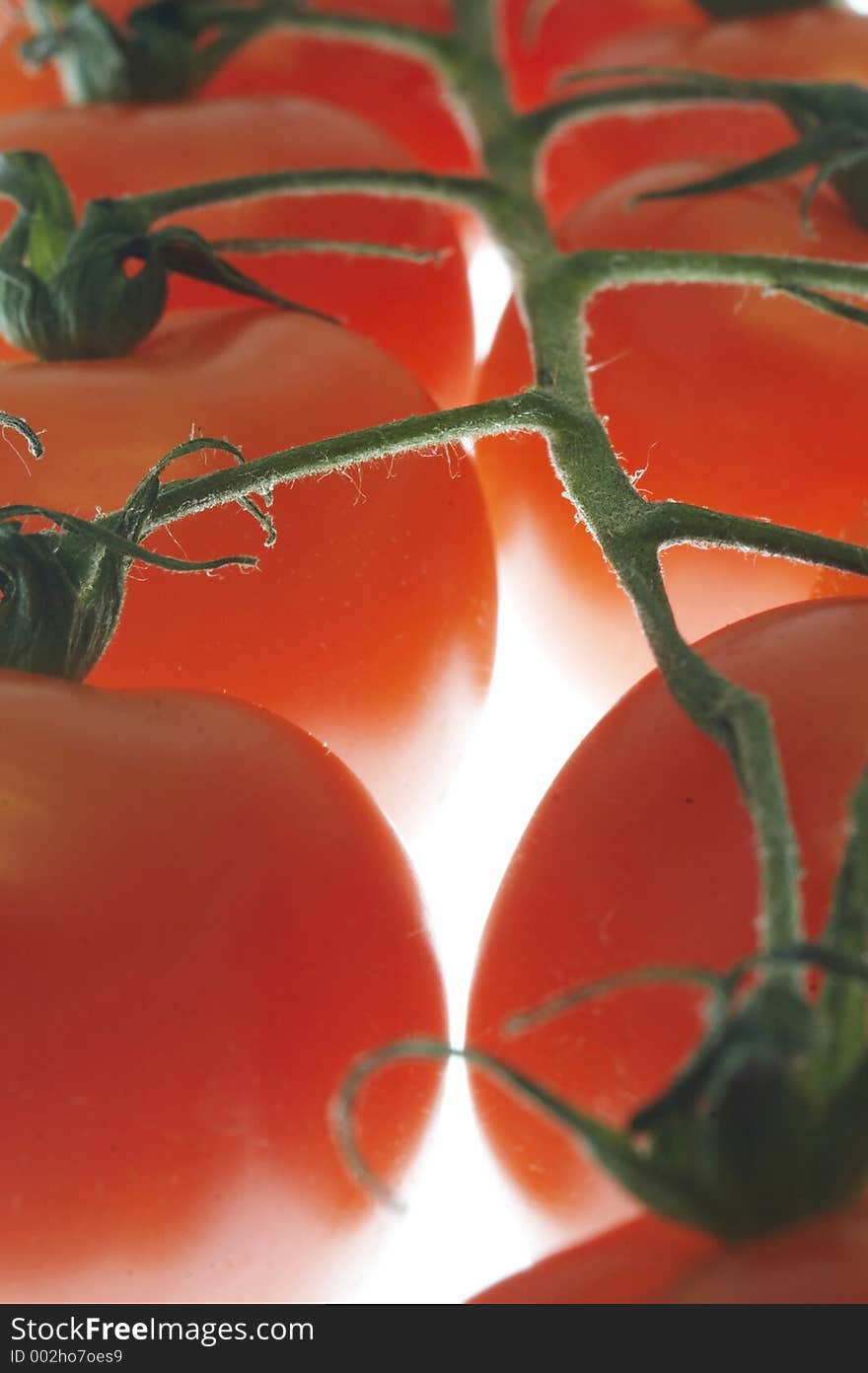 Tomatoes on light source. Close-up of red tomatoes.