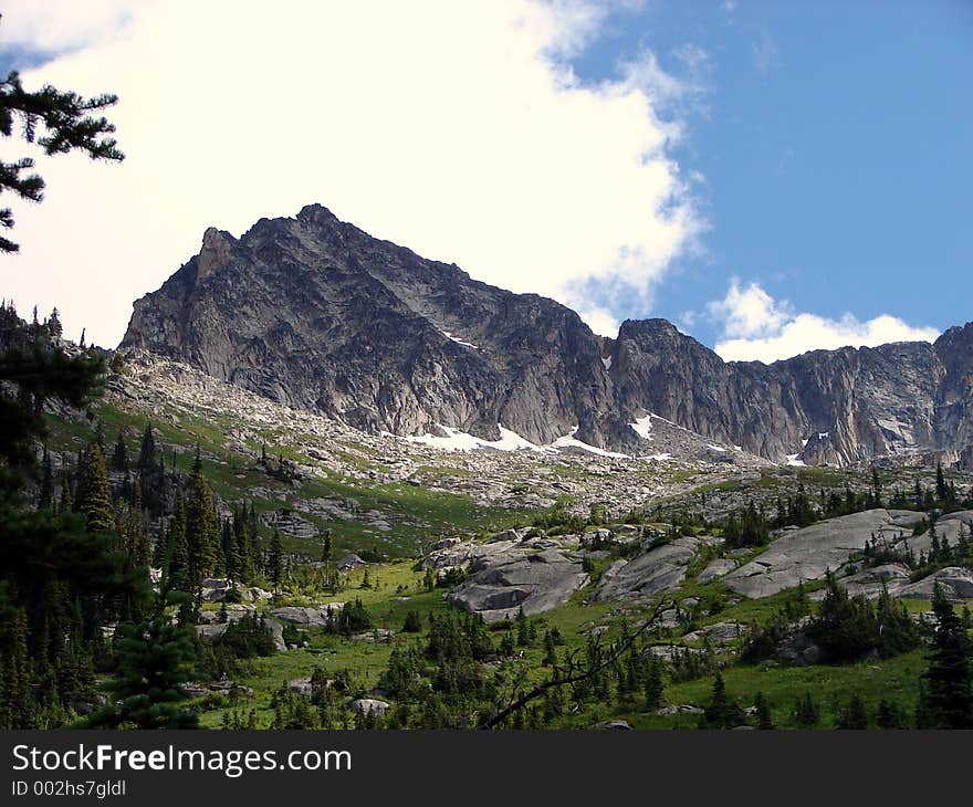 Above TheTreeline