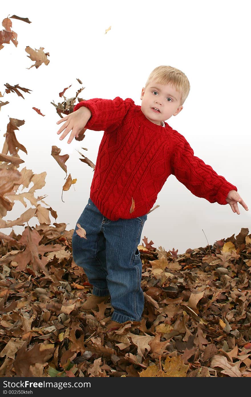 Adorable Two Year Old Playing In Leaves