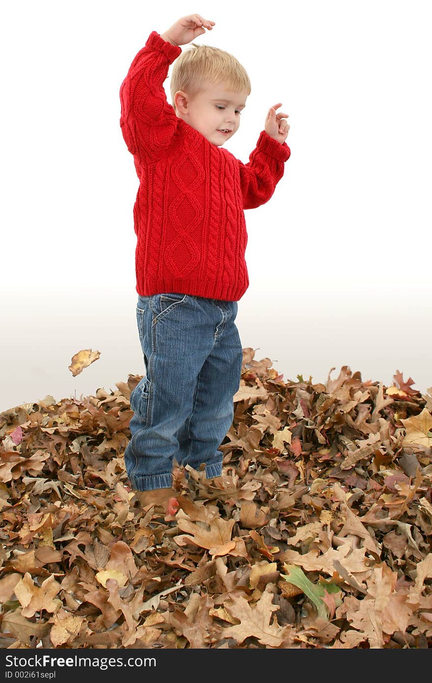 Happy two year old boy playing in leaves. Happy two year old boy playing in leaves.