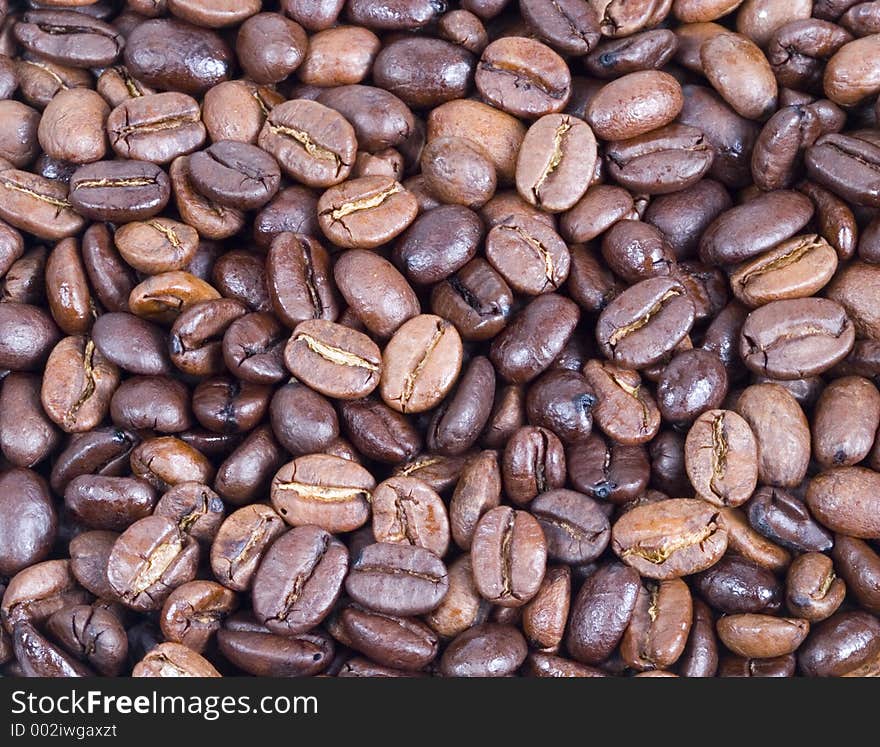 Coffee Beans