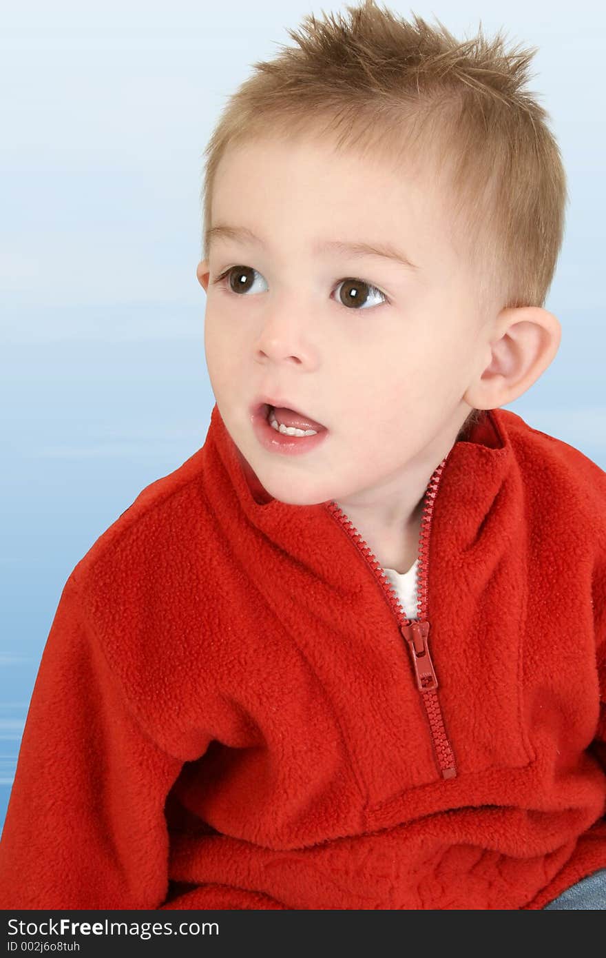 Adorable One Year Old Boy In Red Sweater