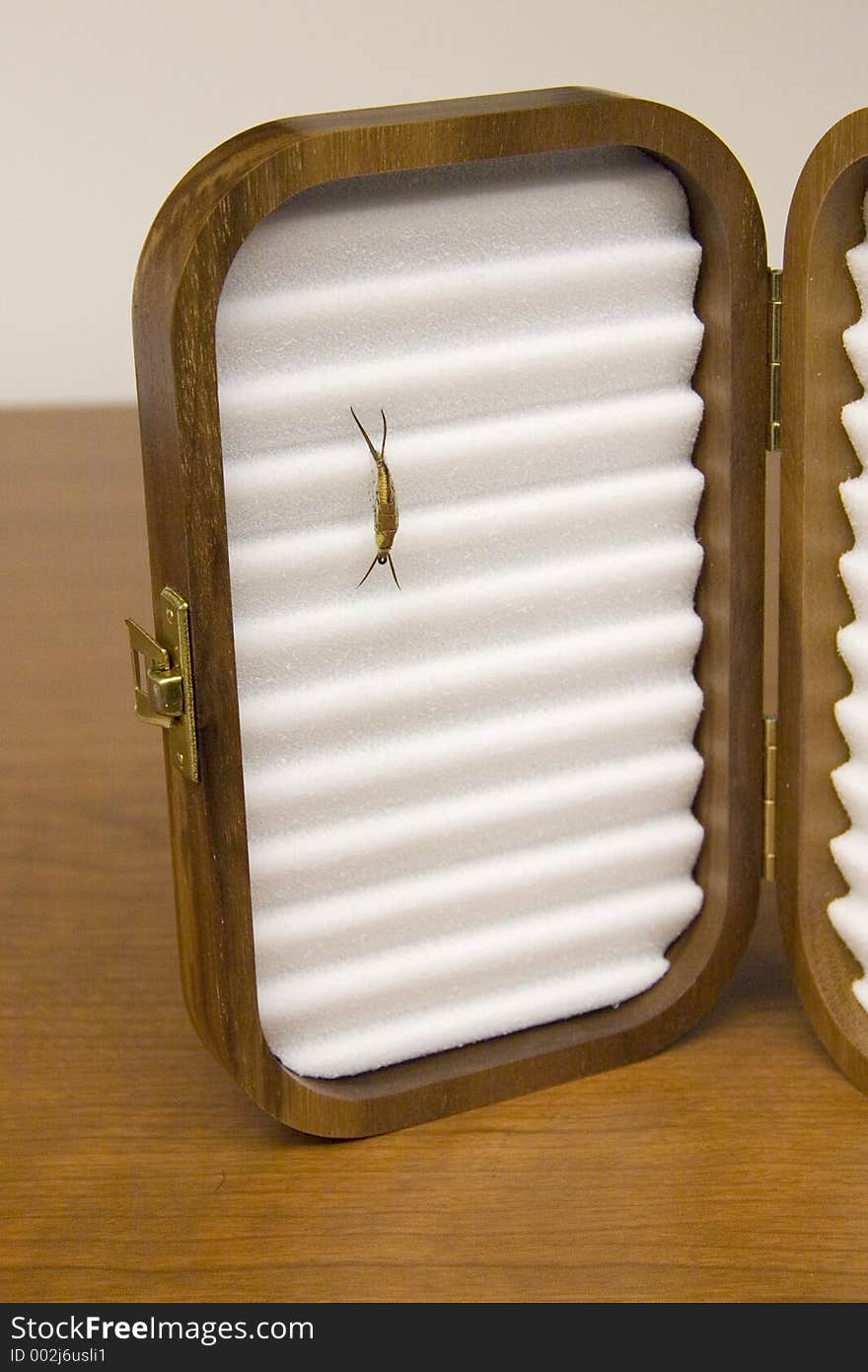 Wooden Flybox With Fly In It