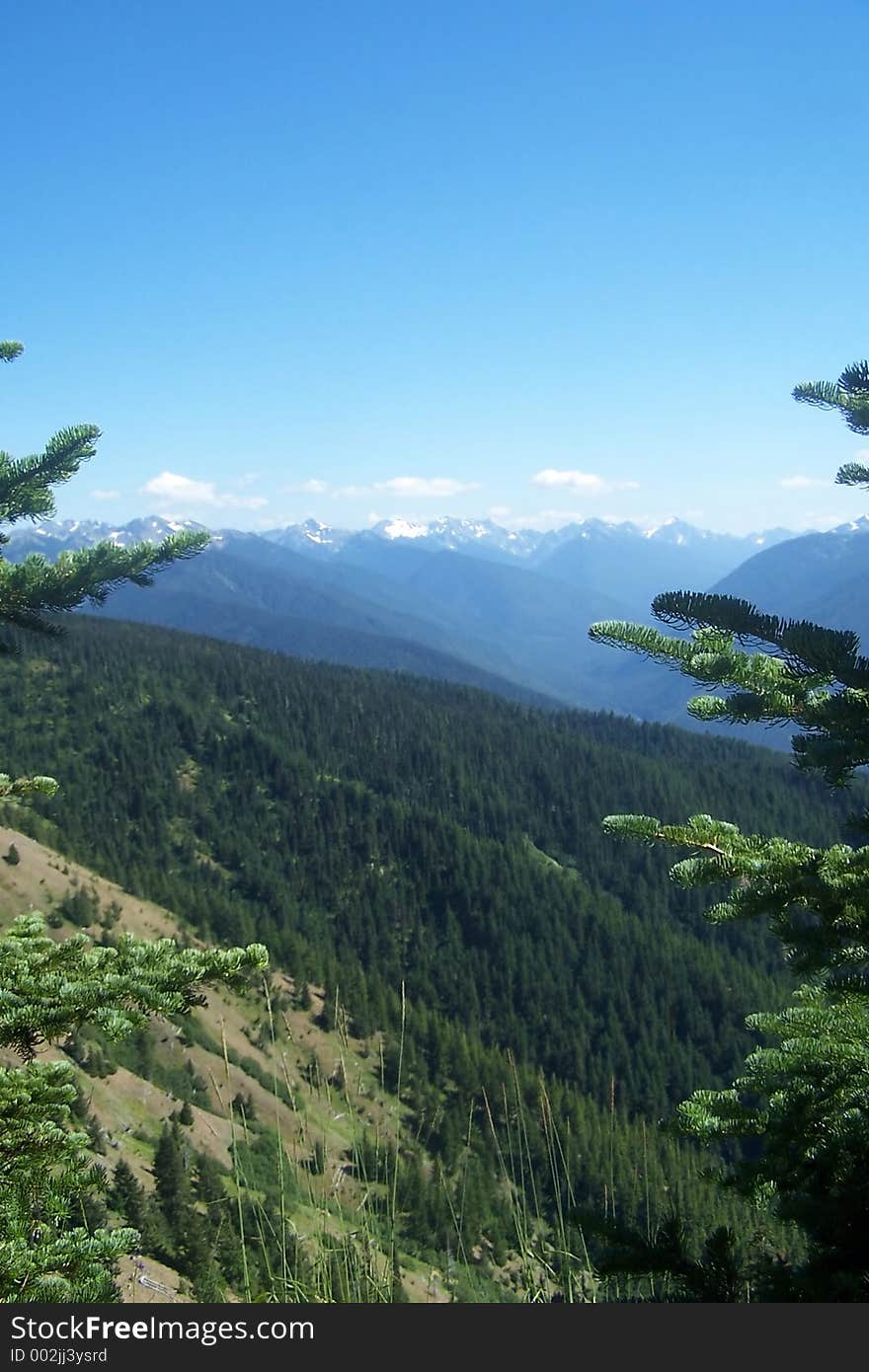 The Olympic mountain range in Washington State. The Olympic mountain range in Washington State