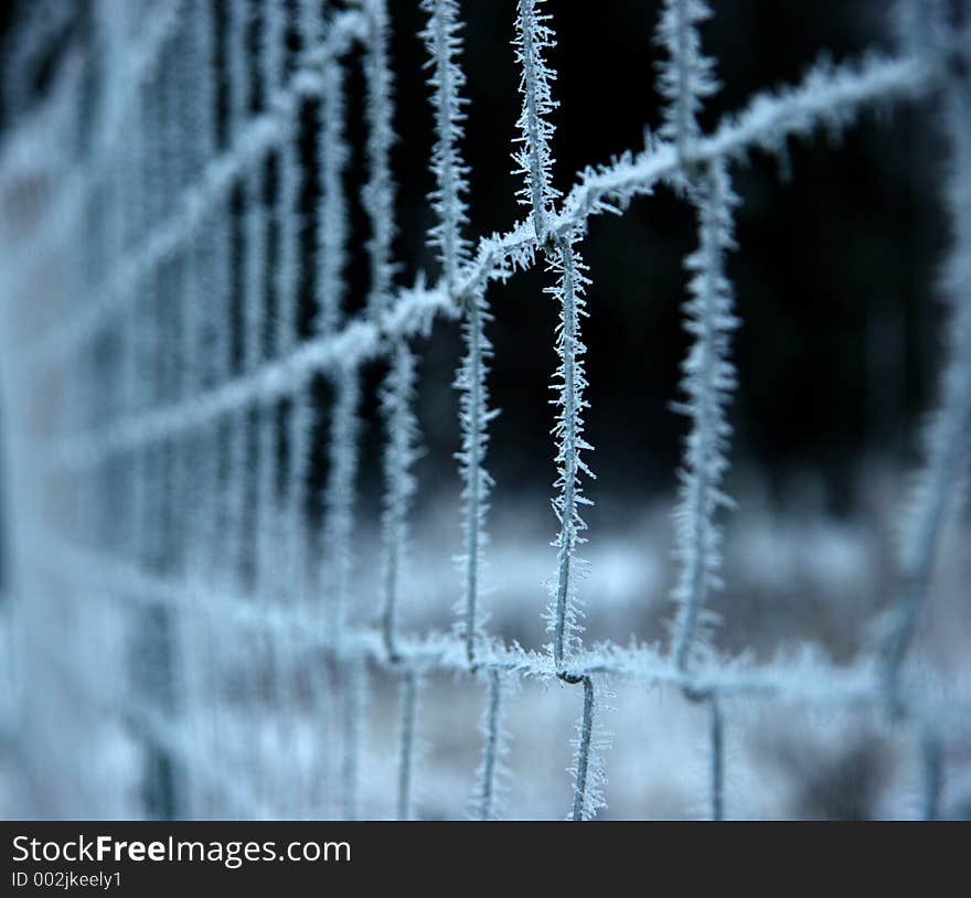 Frozen fence, shallow DOF