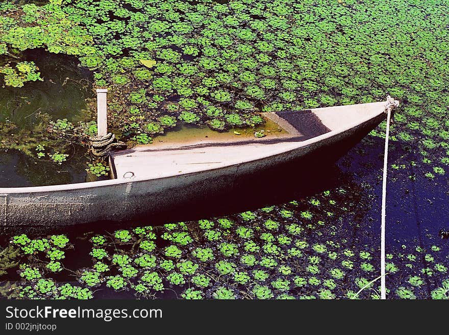 Boat in the lake