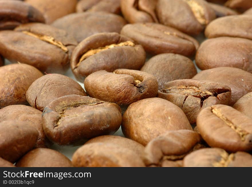 Close up of coffee beans