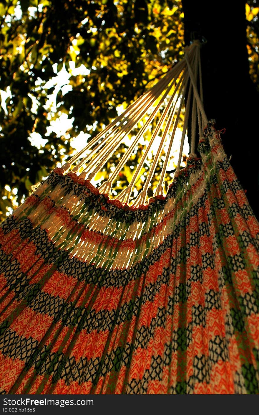 Colorful Hammock