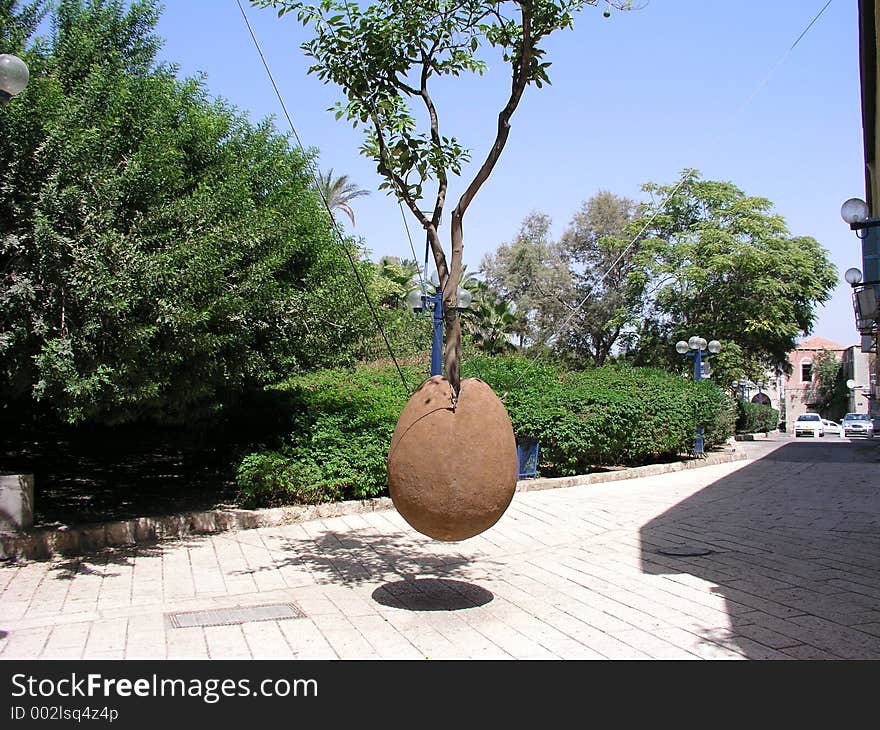 Tree growing in plant pot suspended in mid-air in the Old City of Yafo. Tree growing in plant pot suspended in mid-air in the Old City of Yafo