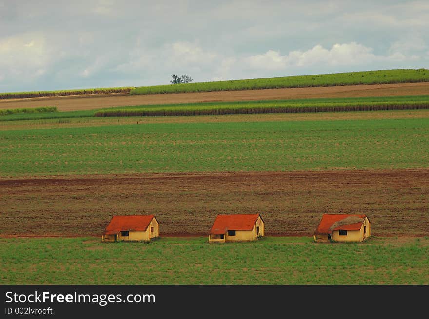 Three small houses in plantation at farm