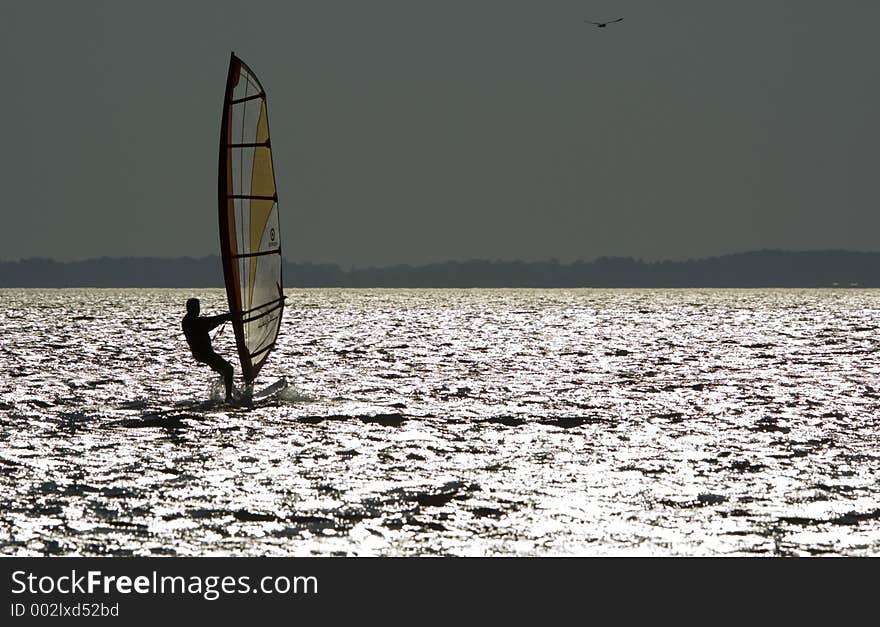 Windsurfer