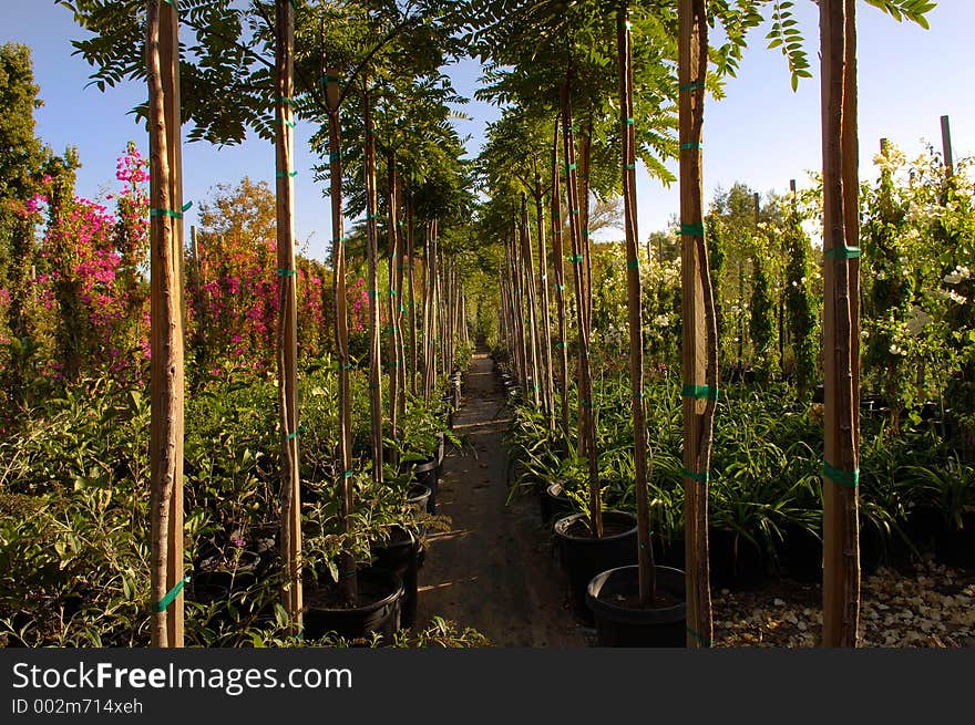 Large growing fields. Large growing fields