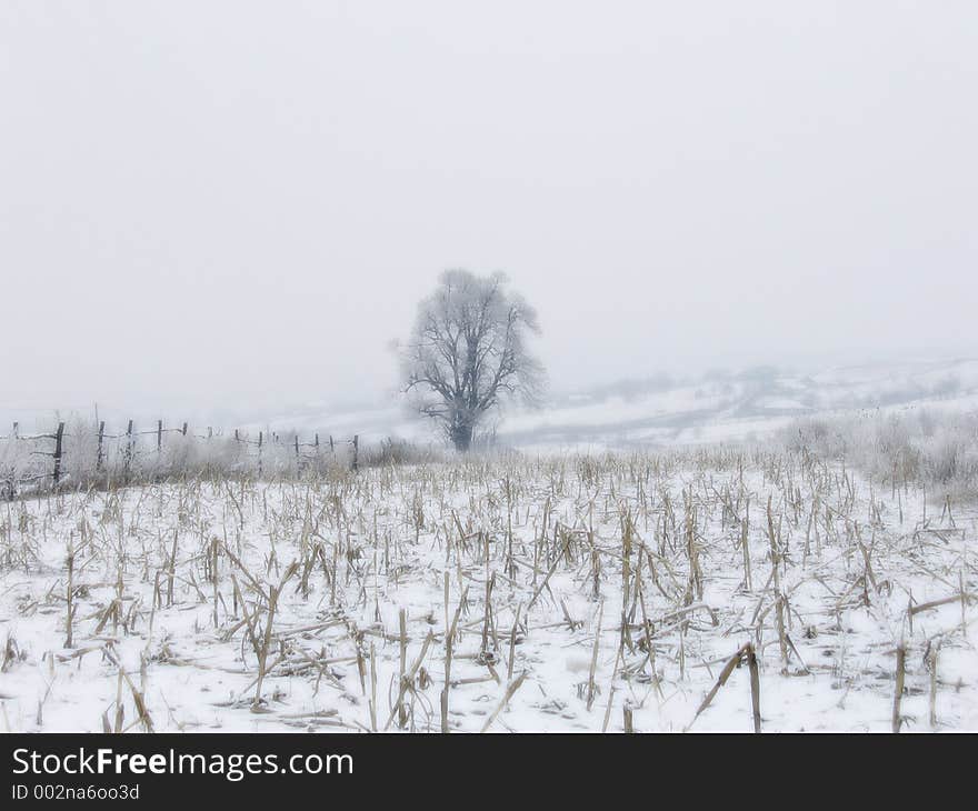 Deserted crops