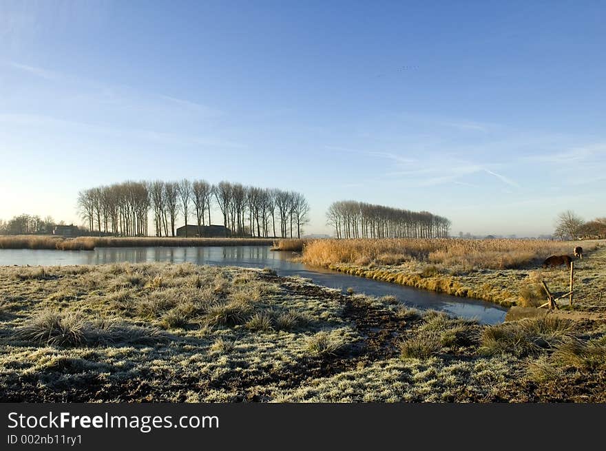 Dutch Landscape