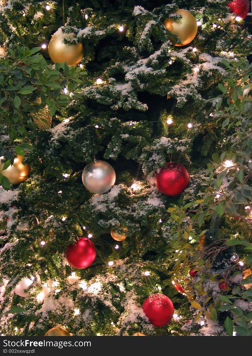 Christmas Evergreens