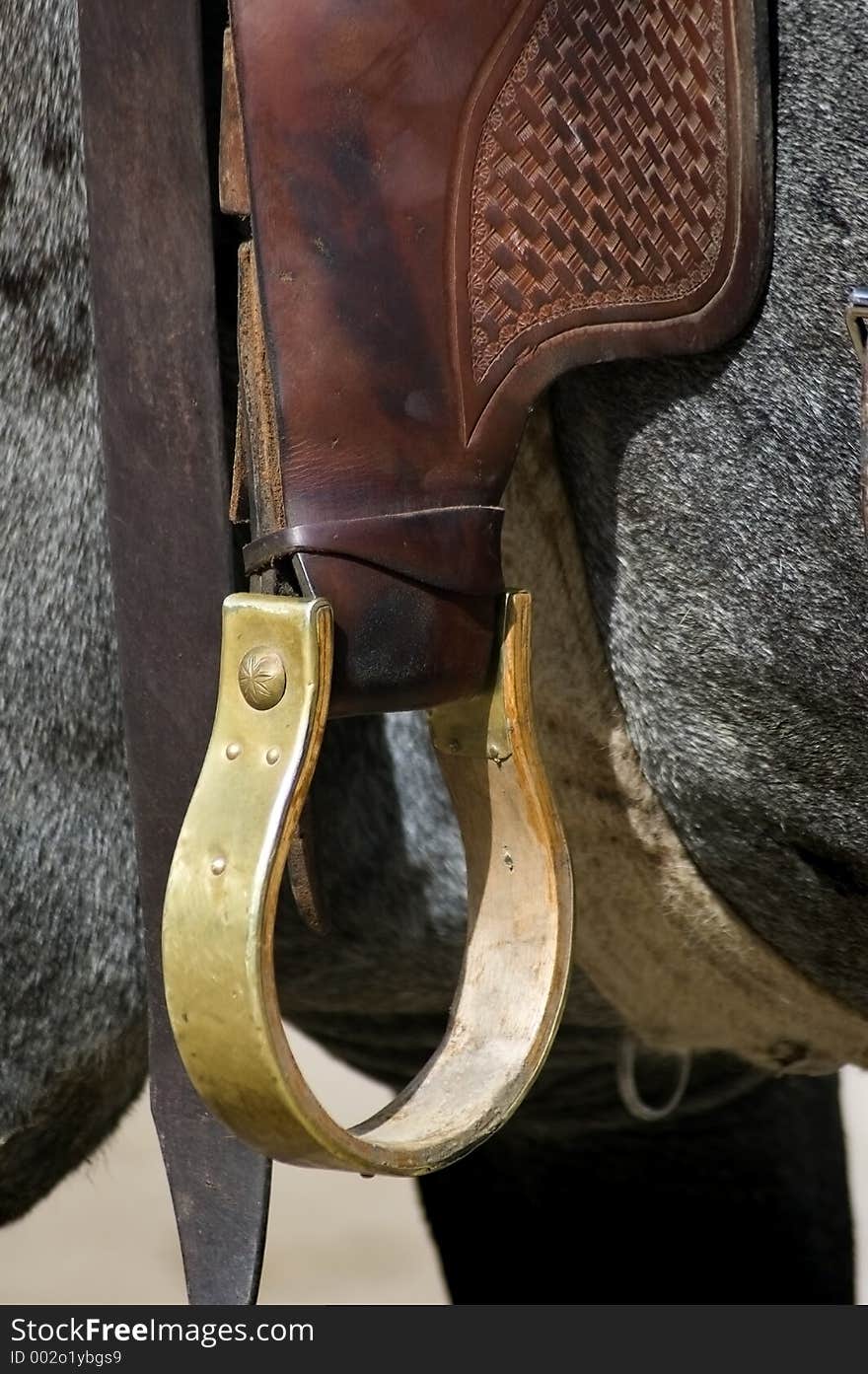 Golden Stirrup