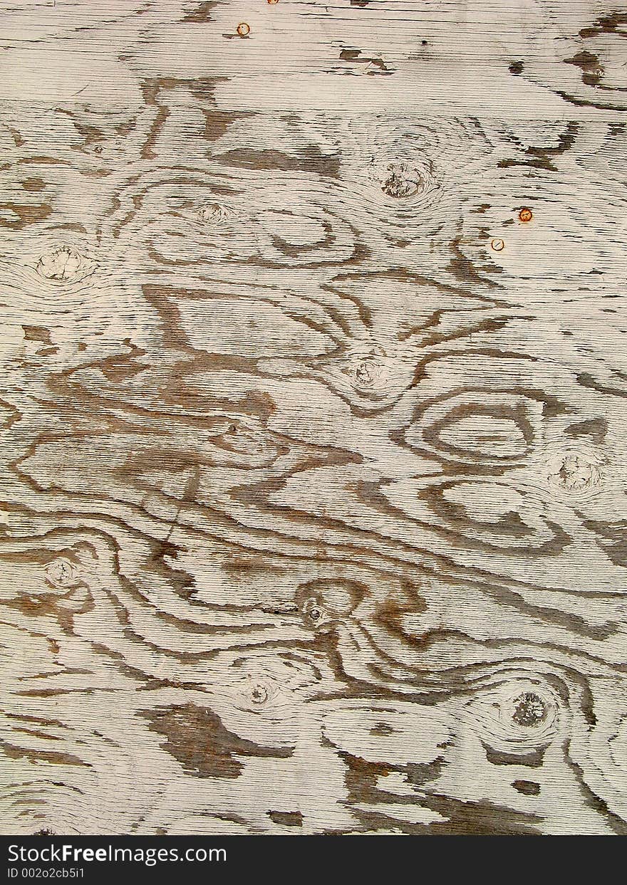 Wood Texture