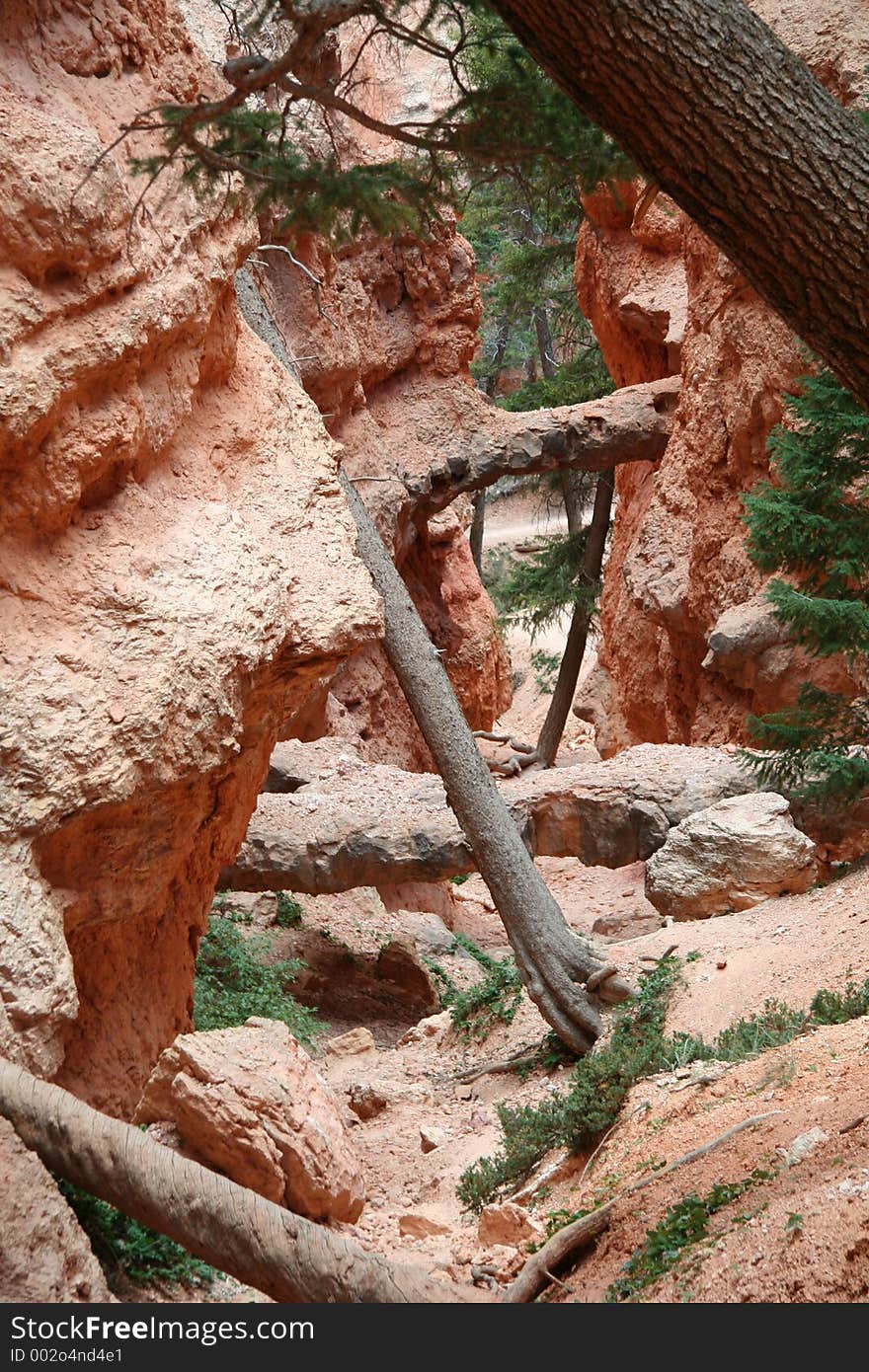 Bryce Canyon National Park. Bryce Canyon National Park