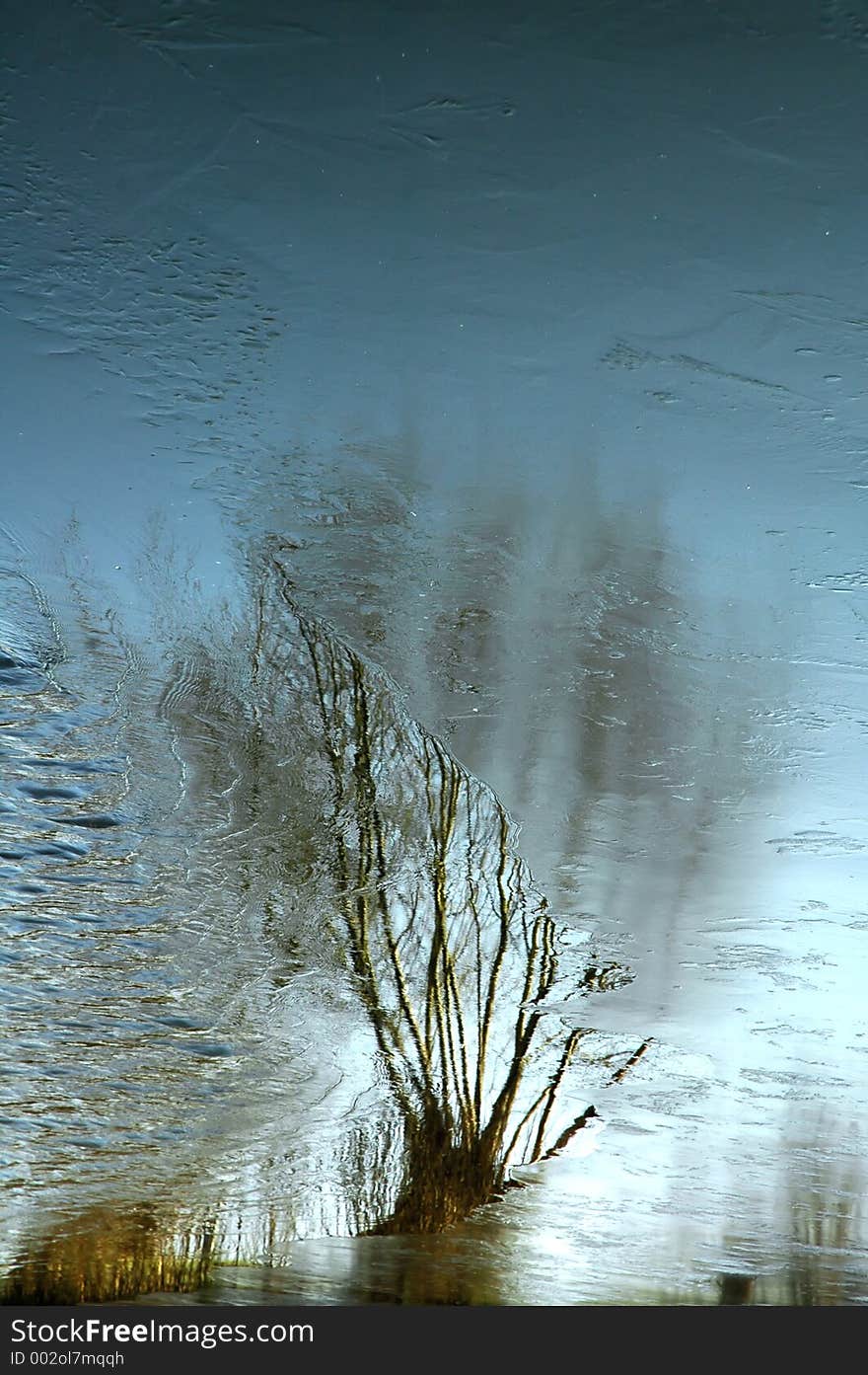 Tree's reflection on partly frozen lake. Tree's reflection on partly frozen lake