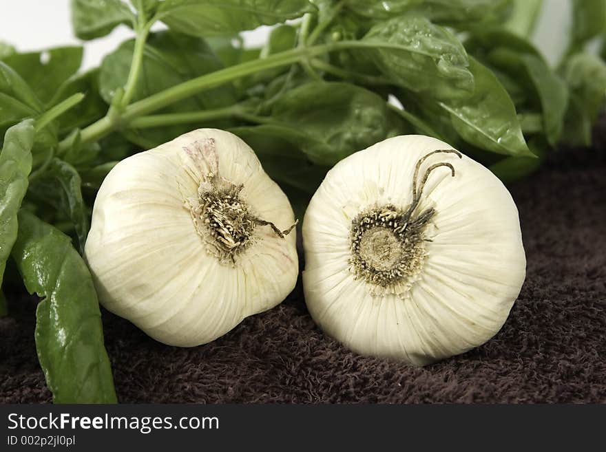 A pair of garlic buds wait to be processed next to some fresh picked basil. A pair of garlic buds wait to be processed next to some fresh picked basil.