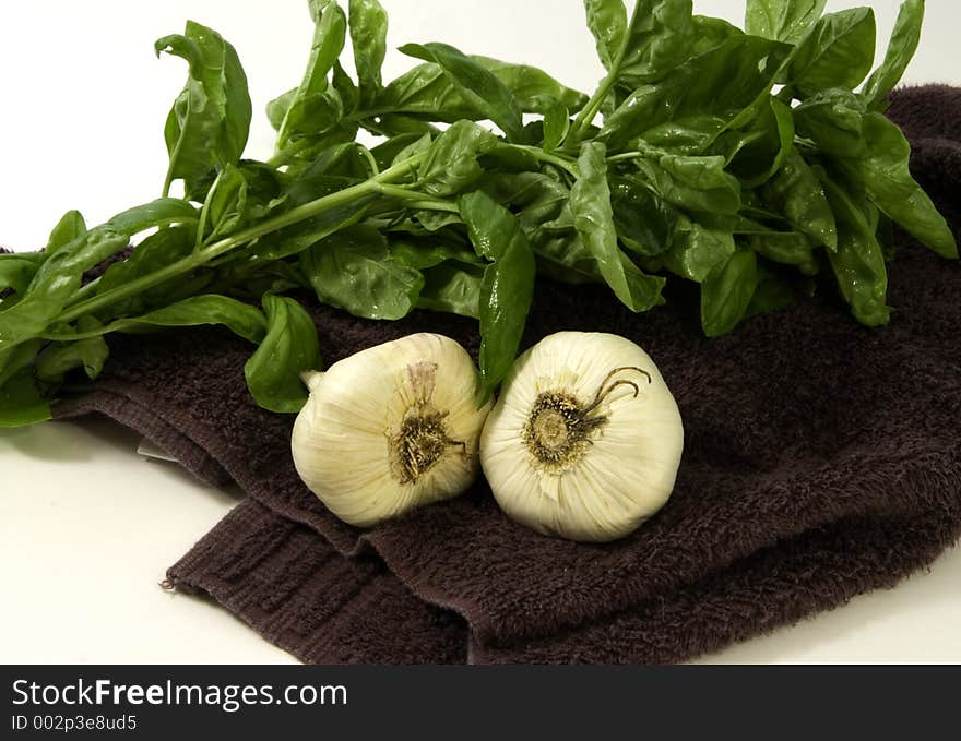 Freshly picked basil and garlic from the garden gathered and ready to prepare for cooking in the kitchen. Freshly picked basil and garlic from the garden gathered and ready to prepare for cooking in the kitchen.