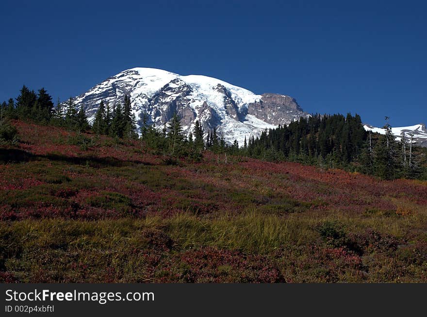 Mount Rainer, Washington