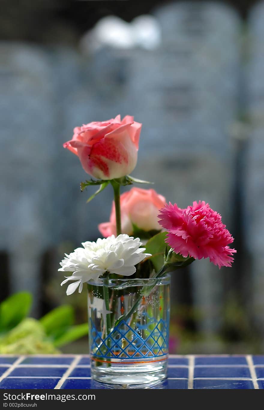 Morning flowers