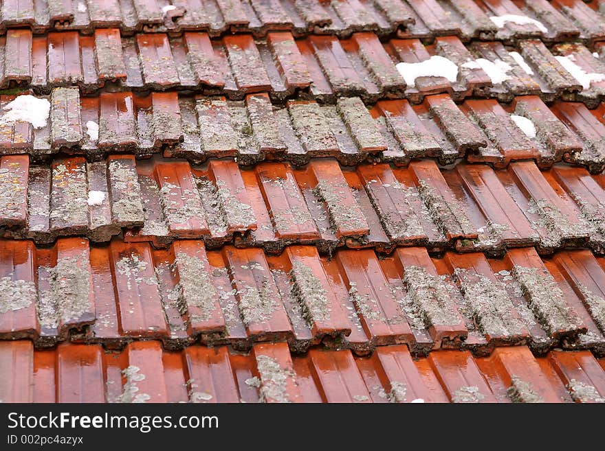 Roof Texture