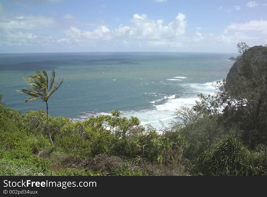 Coast in Hawaii. Coast in Hawaii