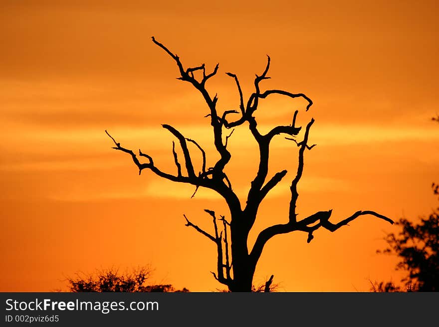 African sunset in the Kruger National Park