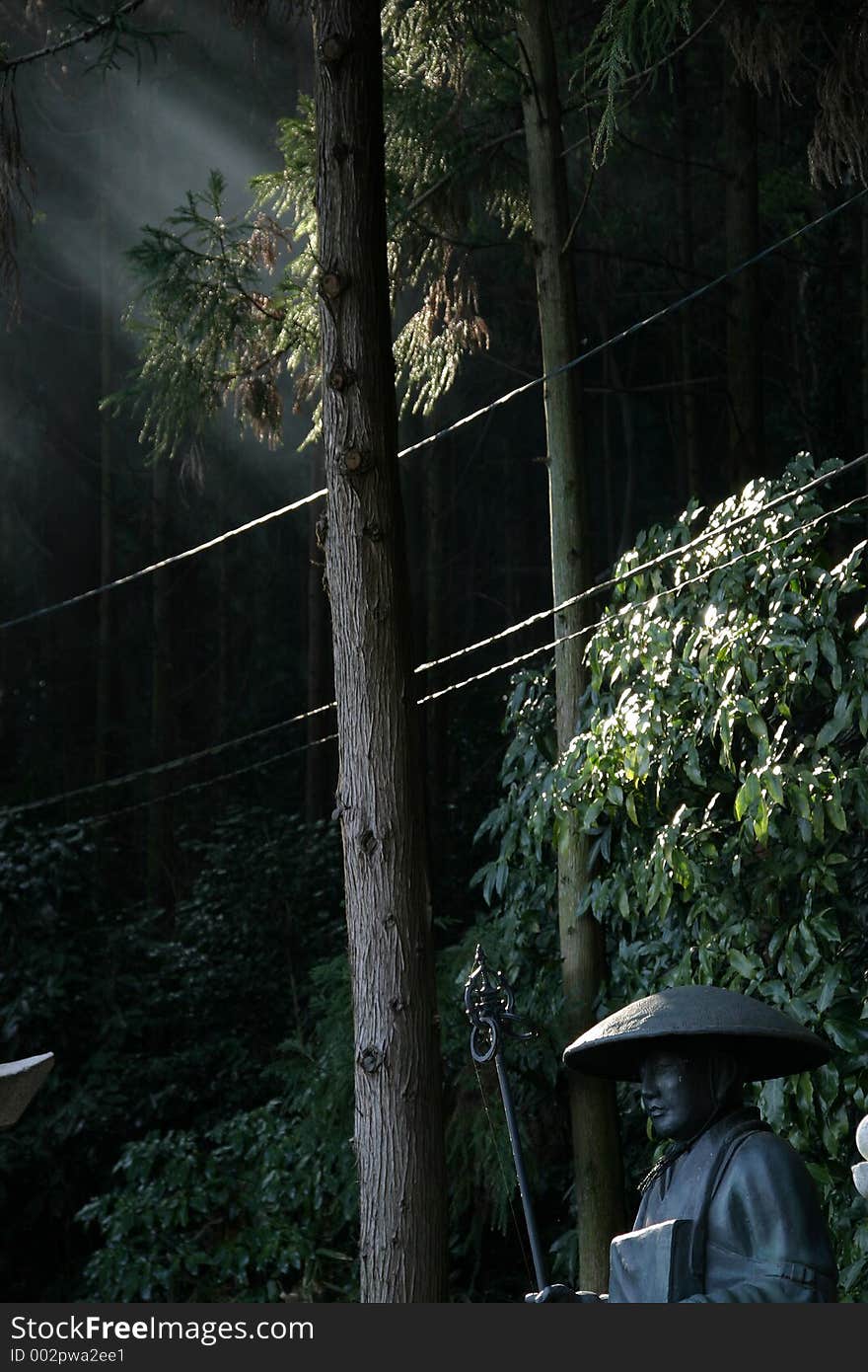 Buddha statue in a forest with some sunshines. Buddha statue in a forest with some sunshines