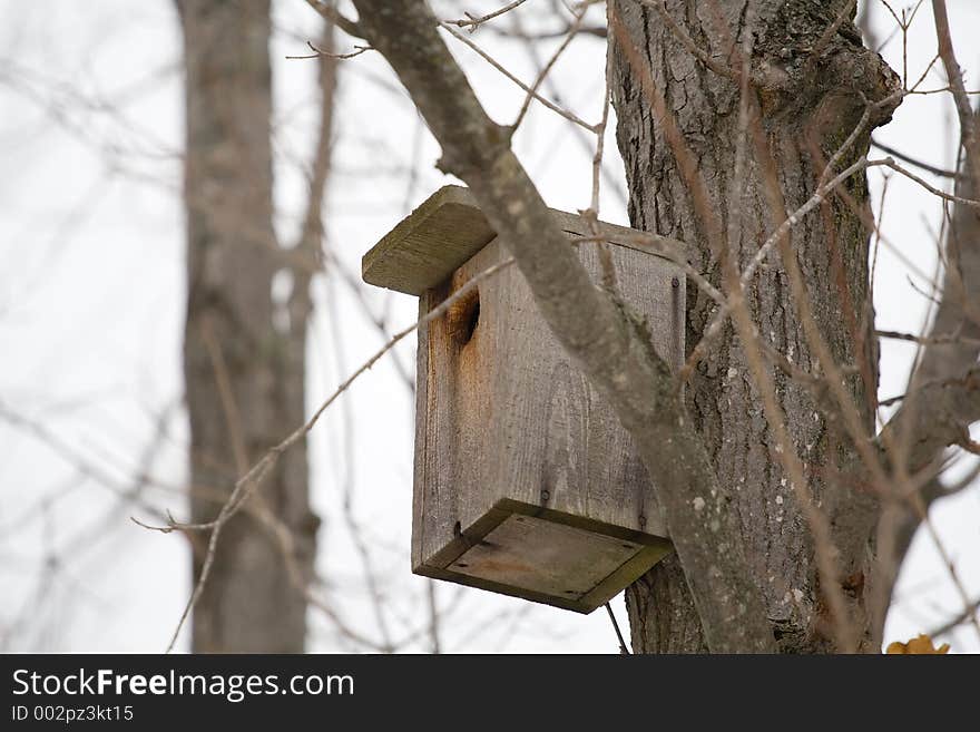 A home made bird house high up in a tree in winter. A home made bird house high up in a tree in winter.