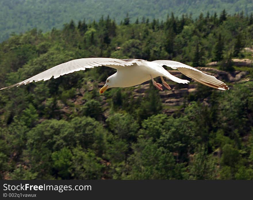 Acadia National Park, Maine. Acadia National Park, Maine.