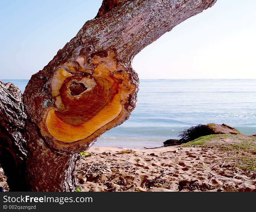 A cut and chopped knot in a piece of wood with the pacific ocean in the background. A cut and chopped knot in a piece of wood with the pacific ocean in the background.