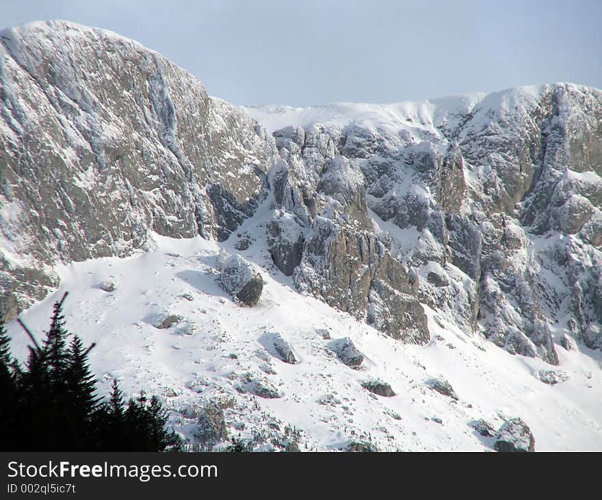 View of mountain peaks covered with snow and a little pine forest. View of mountain peaks covered with snow and a little pine forest