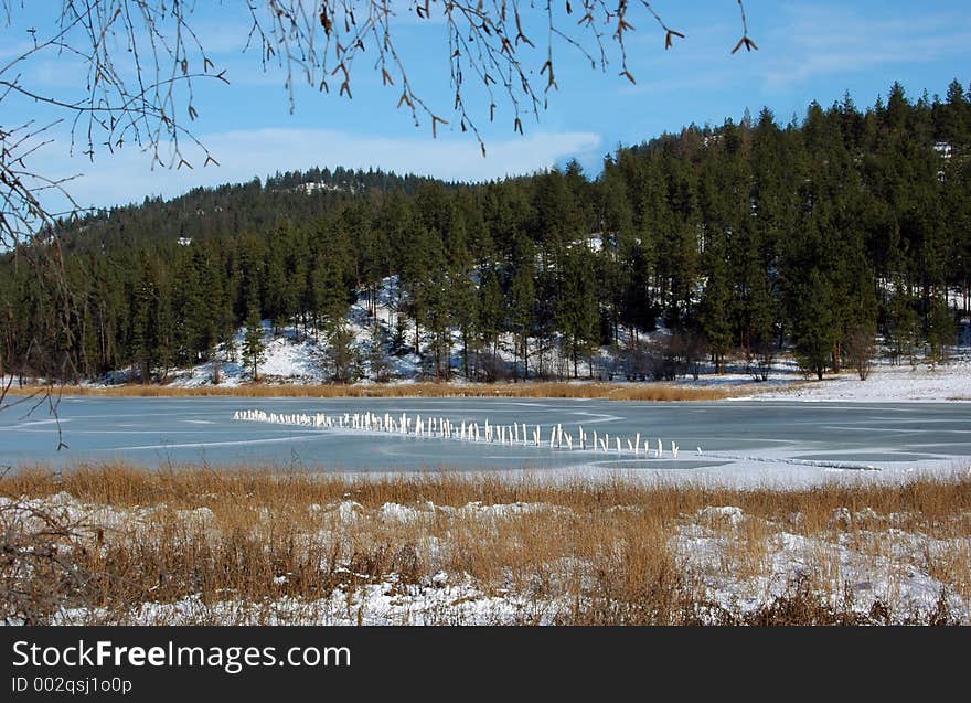 A view of a frozen pond with wooden poles sticking up through the ice on a beautiful sunny December day with a clear blue sky. A view of a frozen pond with wooden poles sticking up through the ice on a beautiful sunny December day with a clear blue sky.