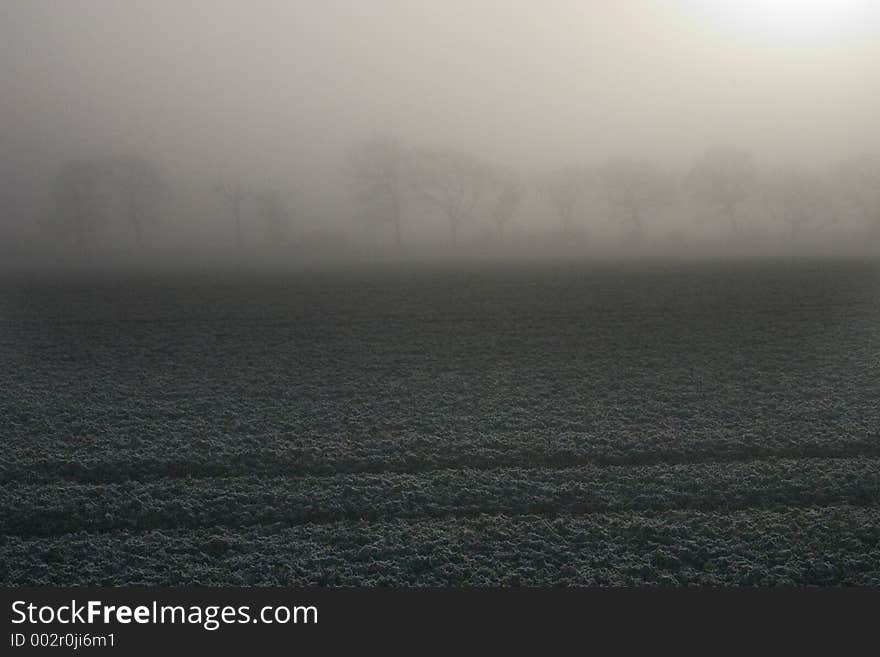 Ploughed field with fog encroached trees. Ploughed field with fog encroached trees