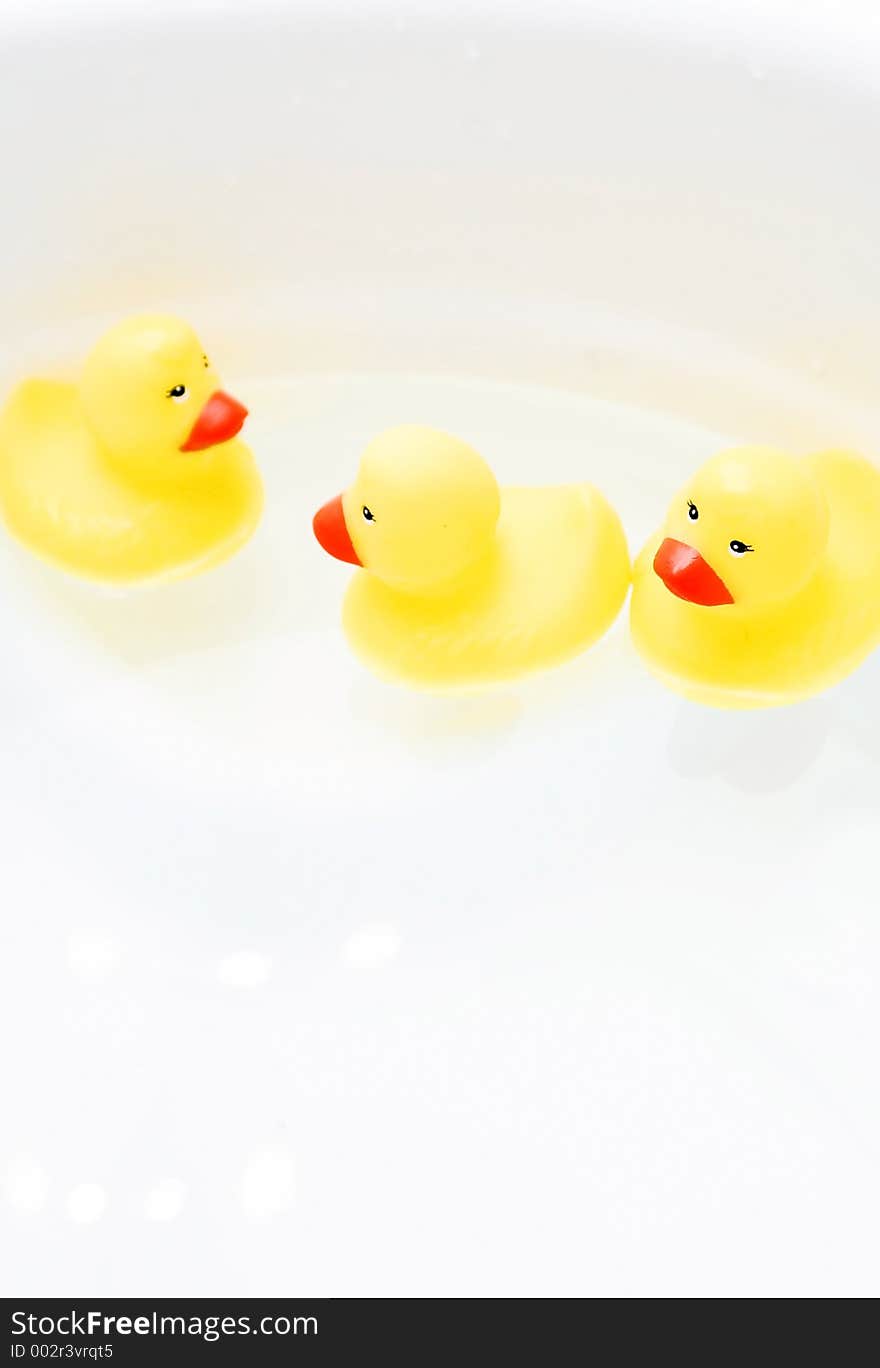 Rubber Duckies. Rubber Duckies