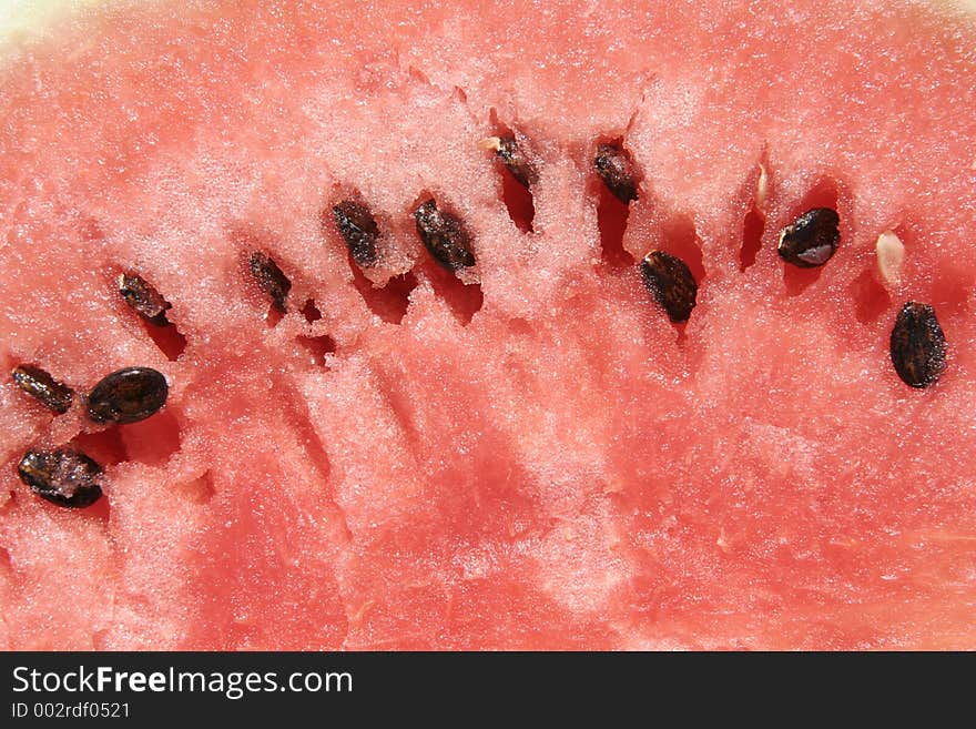 Watermelon macro