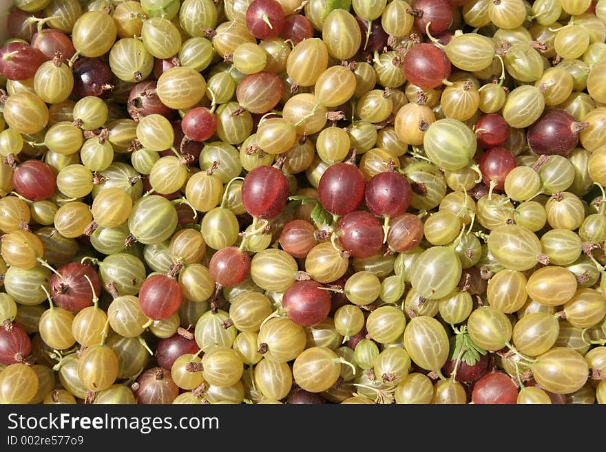 Gooseberries