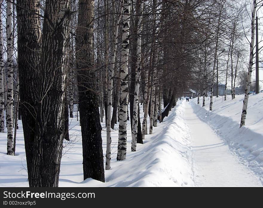 Snow alley