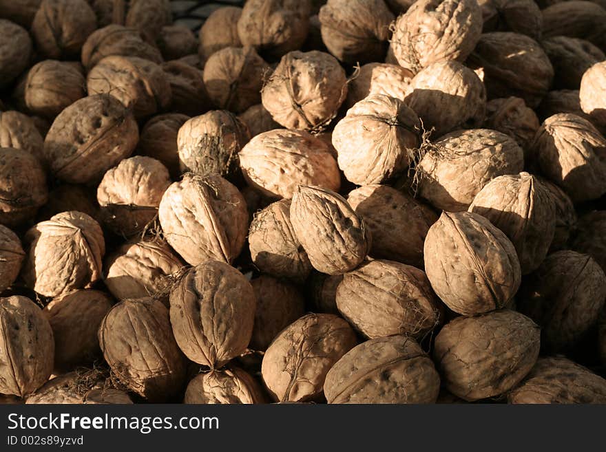 Freshly harvested sea of walnuts, horizontal