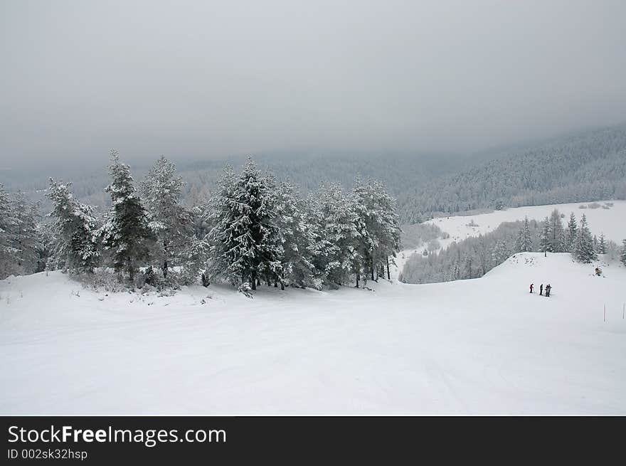 Winter trees 3