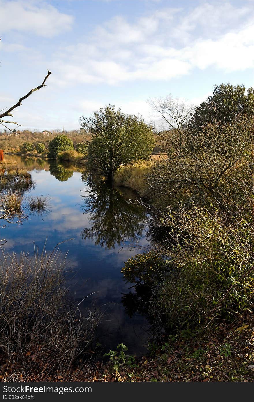 Trees around a blue pond. Trees around a blue pond